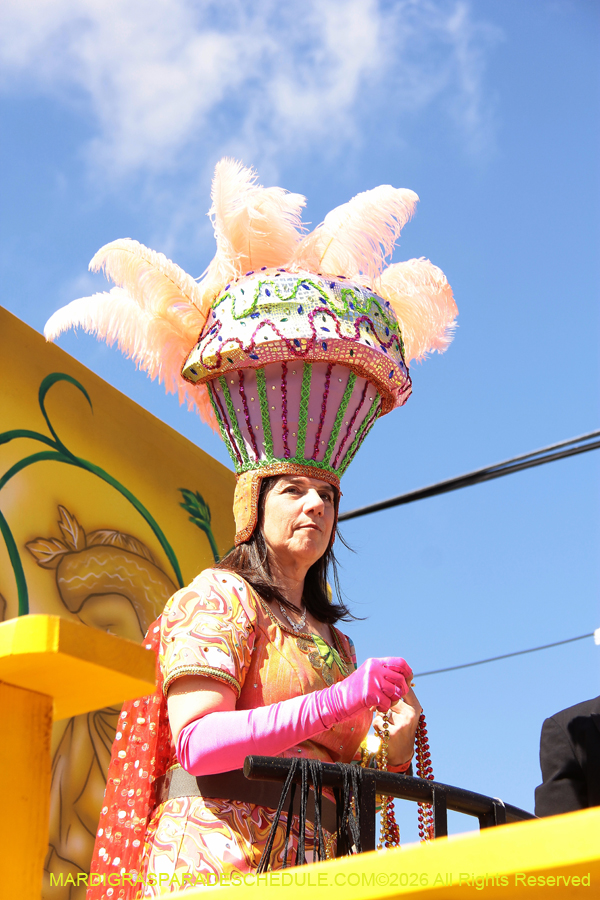 Krewe-of-Mid-City-2026-8790
