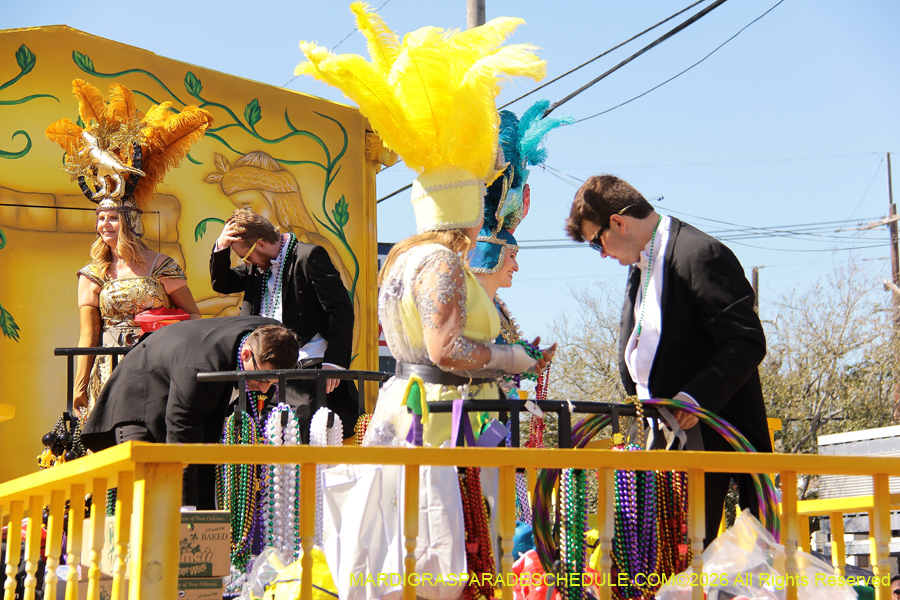 Krewe-of-Mid-City-2026-8798