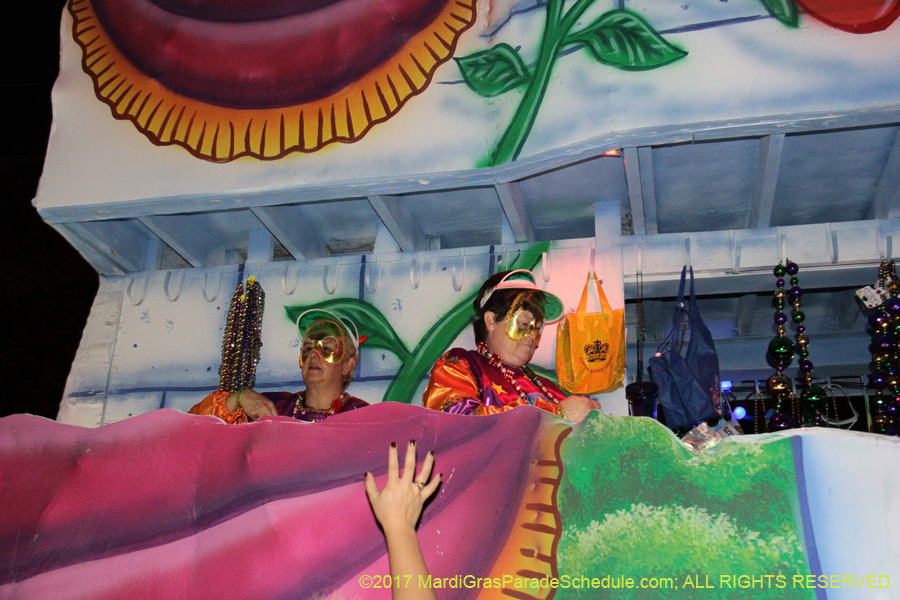 krewe-of-Morpheus-2017-07763