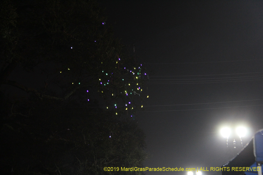 Krewe-of-Morpheus-2019-005899