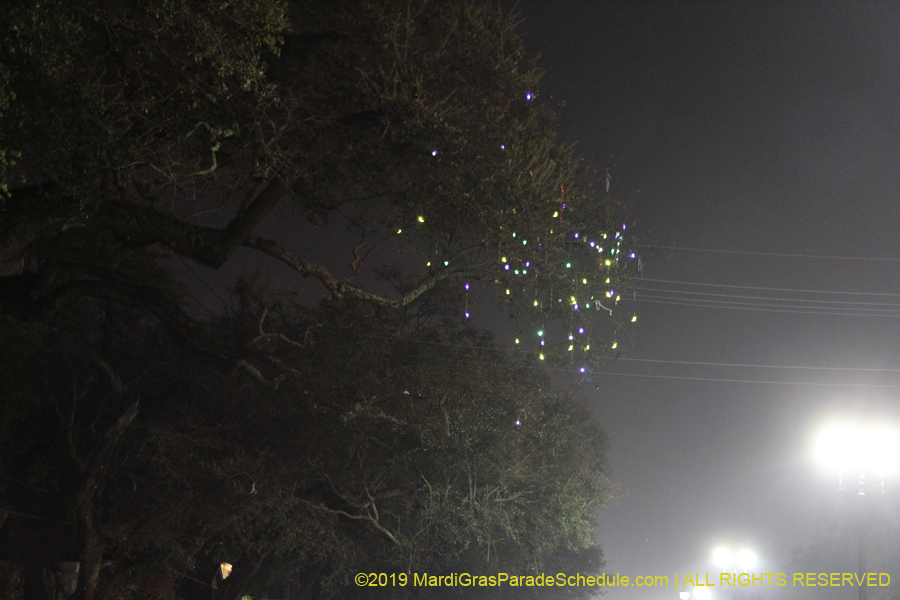 Krewe-of-Morpheus-2019-005900