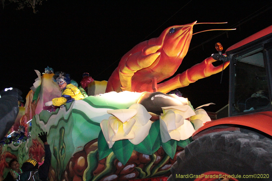 Krewe-of-Morpheus-2020-05713