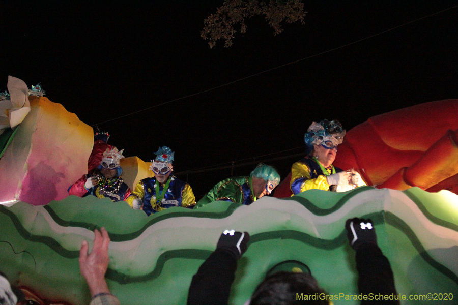 Krewe-of-Morpheus-2020-05714