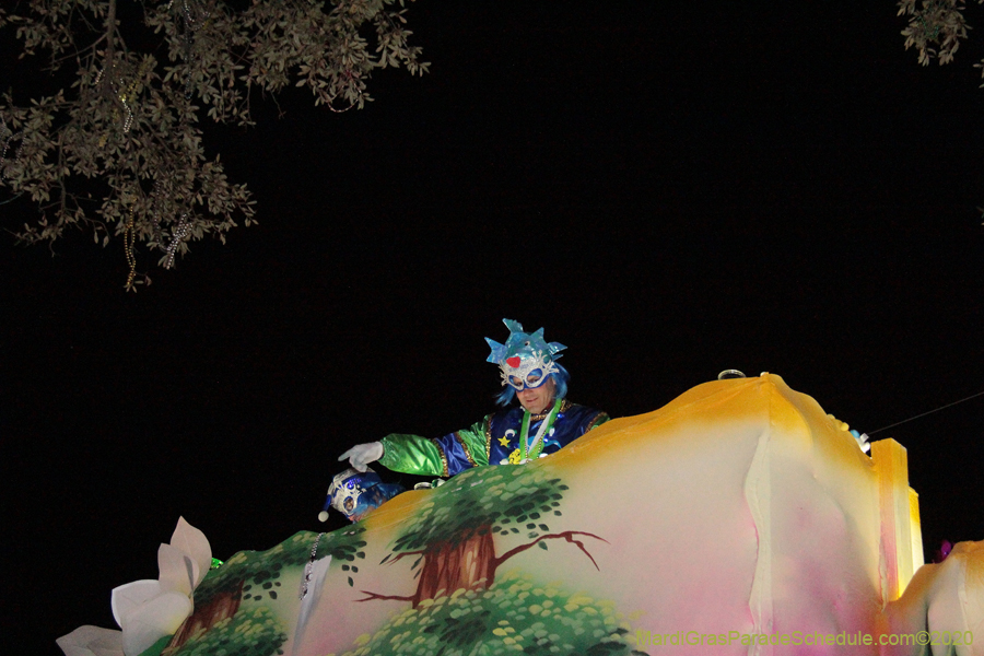 Krewe-of-Morpheus-2020-05718