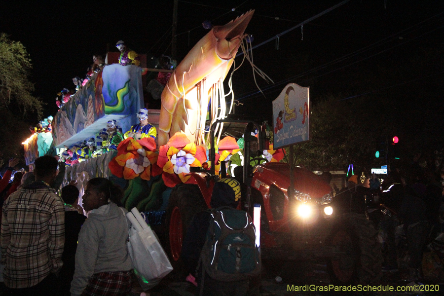 Krewe-of-Morpheus-2020-05729