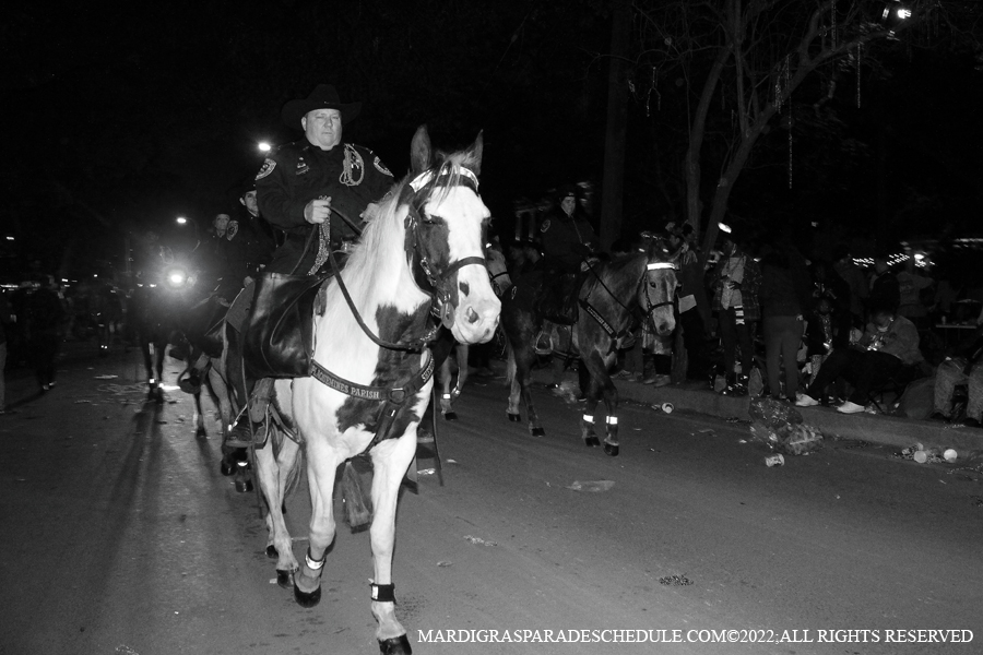 Krewe-of-Morpheus-00014-2022