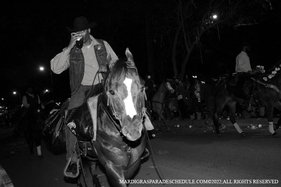 Krewe-of-Morpheus-00021-2022