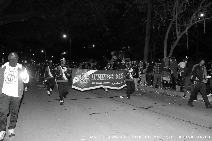 Krewe-of-Morpheus-00081-2022