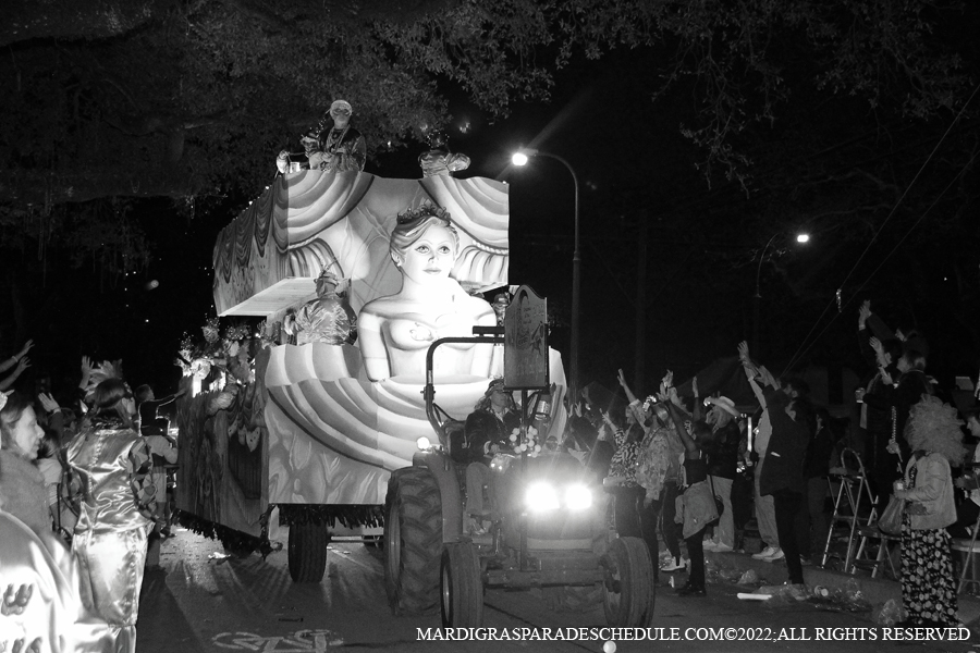 Krewe-of-Morpheus-00085-2022