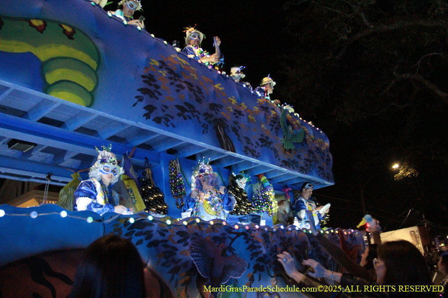 Krewe-of-Morpheust-002902