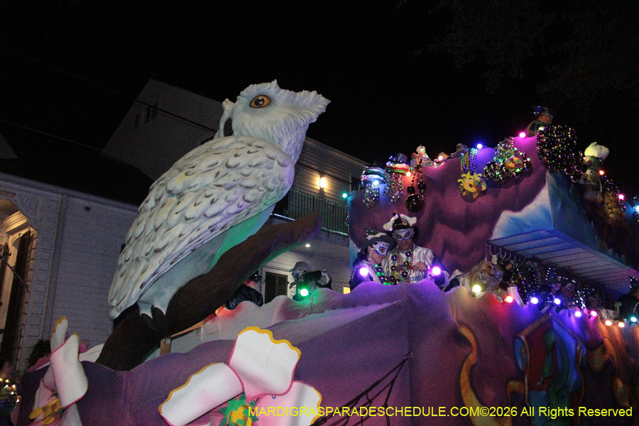 Krewe-of-Morpheus-2026-6661