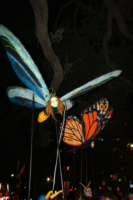 Krewe-of-Muses-2008-Mardi-Gras-New-Orleans-0922