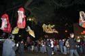 Krewe-of-Muses-2008-Mardi-Gras-New-Orleans-0912