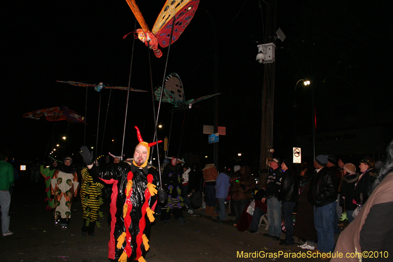 Krewe-of-Muses-2010-Carnival-New-Orleans-6804