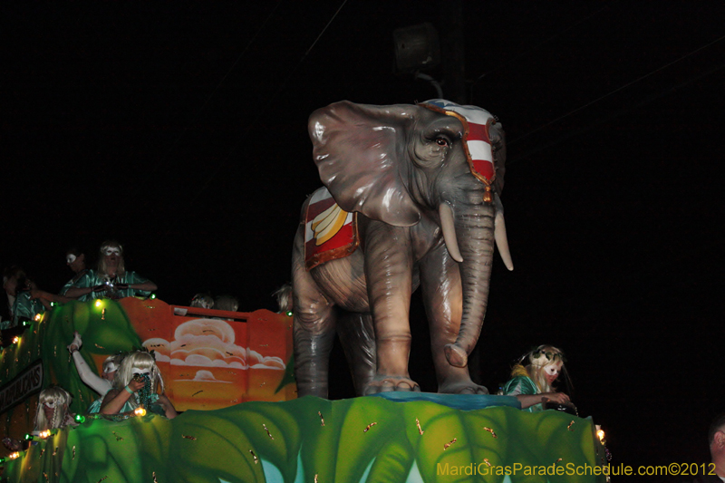 Krewe-of-Muses-2012-0104