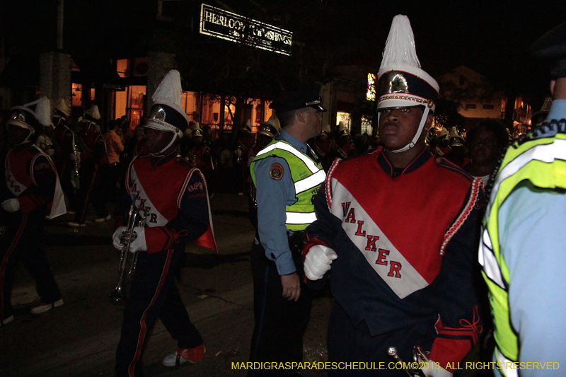 Krewe-of-Muses-2013-1056