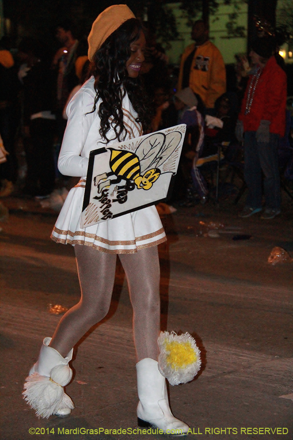 2014-Krewe-of-Muses11092