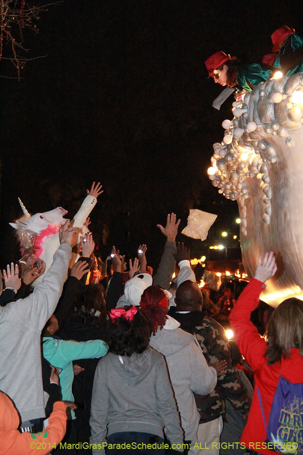 2014-Krewe-of-Muses11116