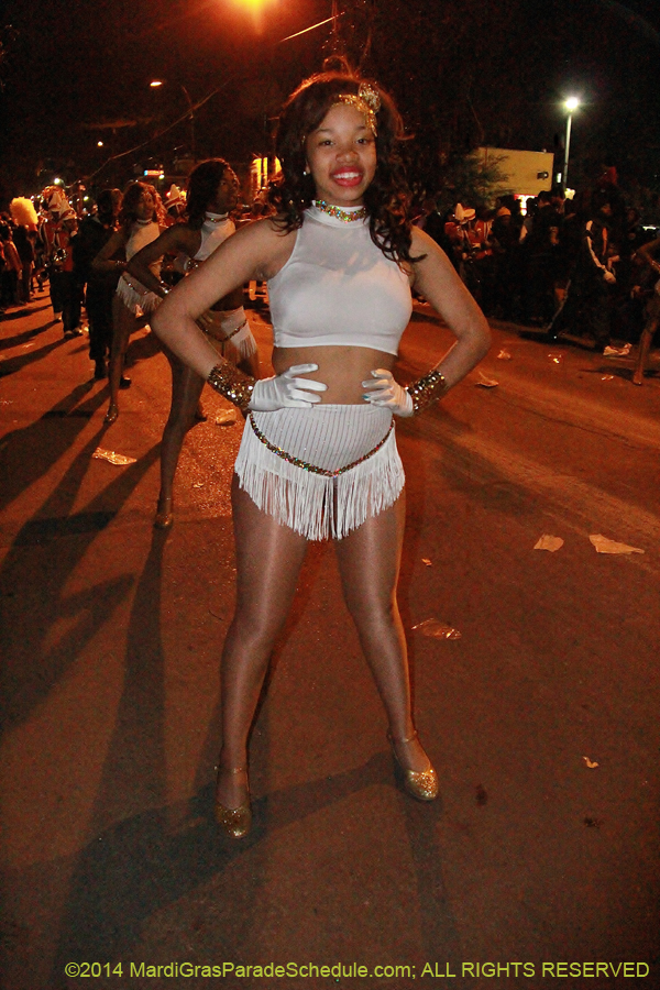 2014-Krewe-of-Muses11133