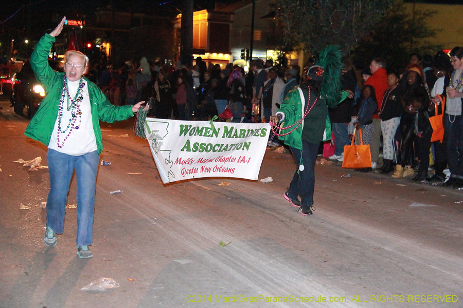 2014-Krewe-of-Muses11137