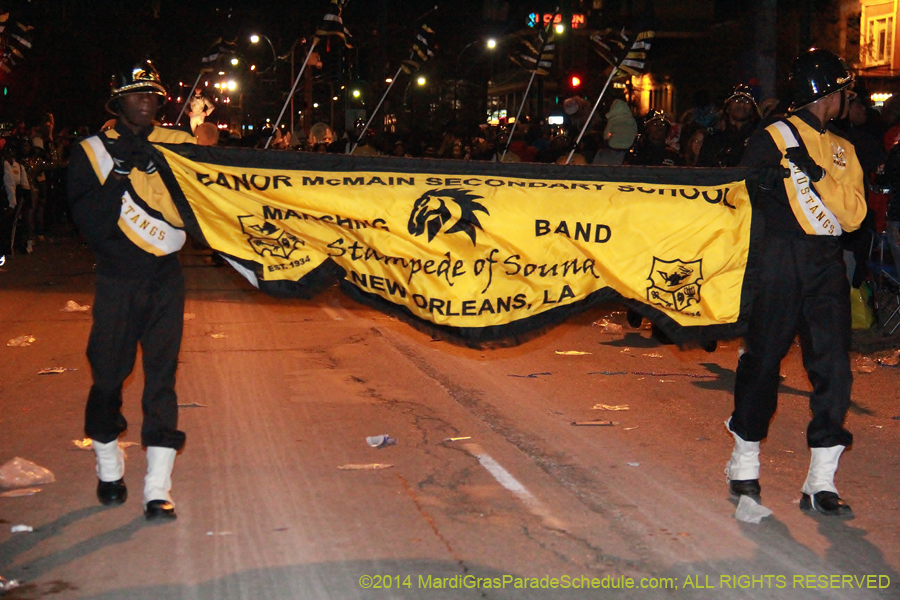 2014-Krewe-of-Muses11166