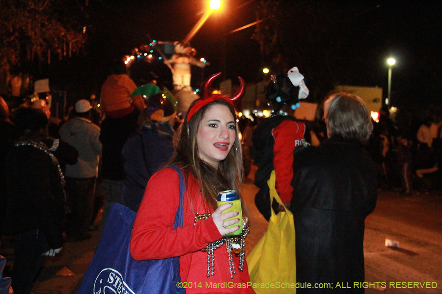 2014-Krewe-of-Muses11192