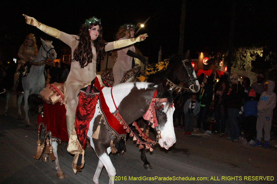 2016-Krewe-of-Muses-007597