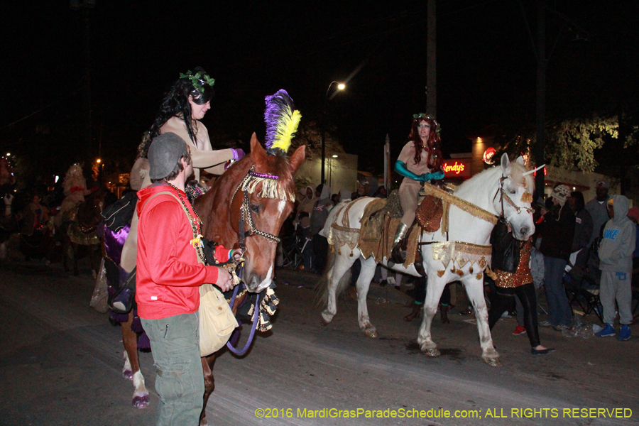 2016-Krewe-of-Muses-007599