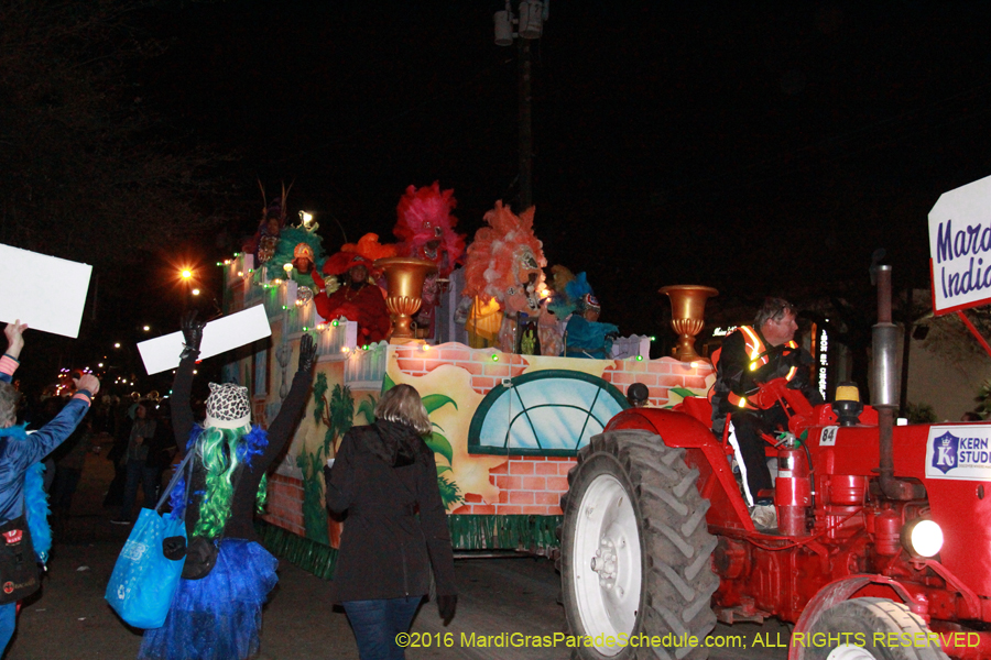 2016-Krewe-of-Muses-007611