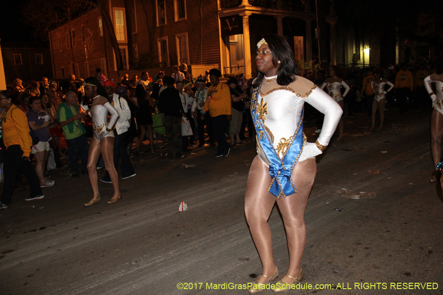 Krewe-of-Muses-2017-06662