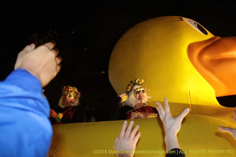 2018-Krewe-of-Muses00004367