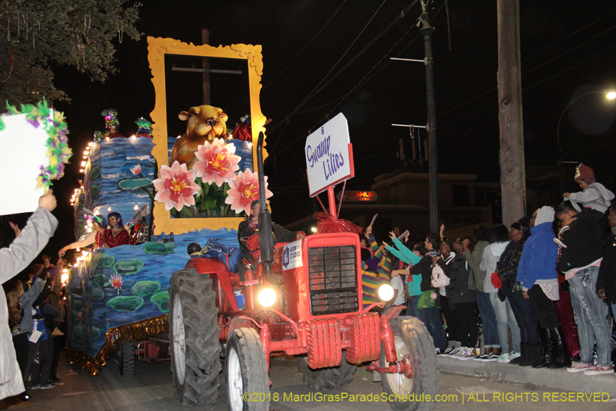 2018-Krewe-of-Muses00004415