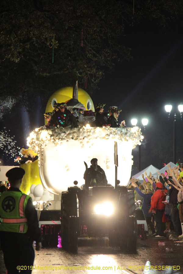 Krewe-of-Muses-2019-004897