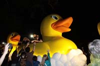 Krewe-of-Muses-2019-004909