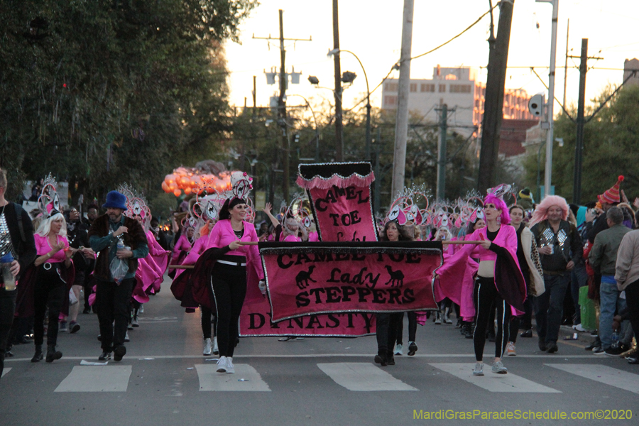 Krewe-of-Muses-2020-04658