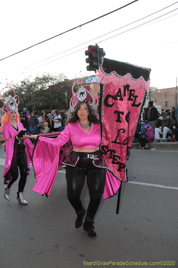 Krewe-of-Muses-2020-04660