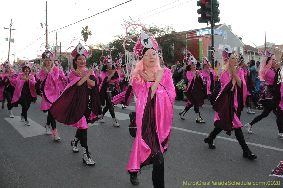 Krewe-of-Muses-2020-04662