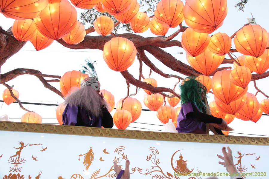 Krewe-of-Muses-2020-04668