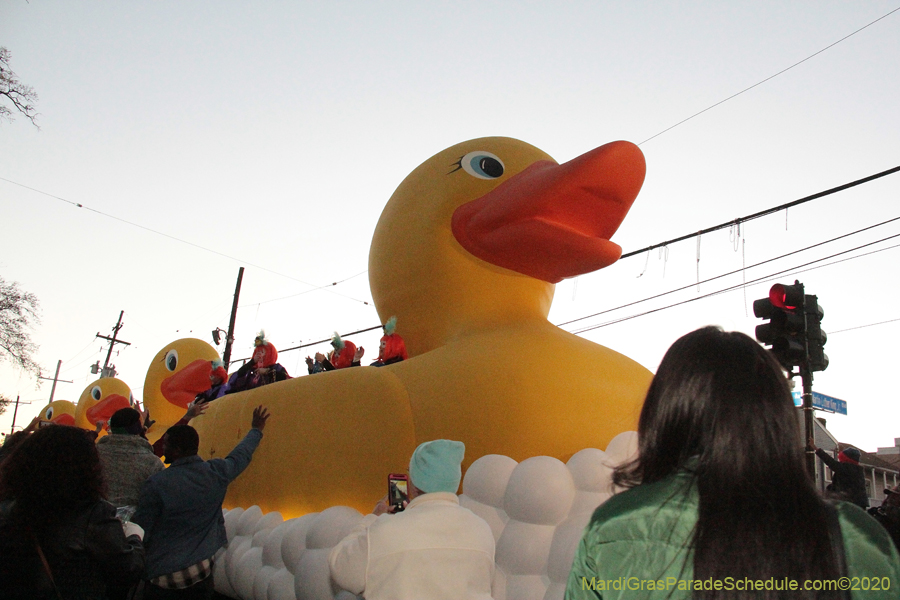 Krewe-of-Muses-2020-04696