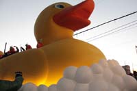 Krewe-of-Muses-2020-04697