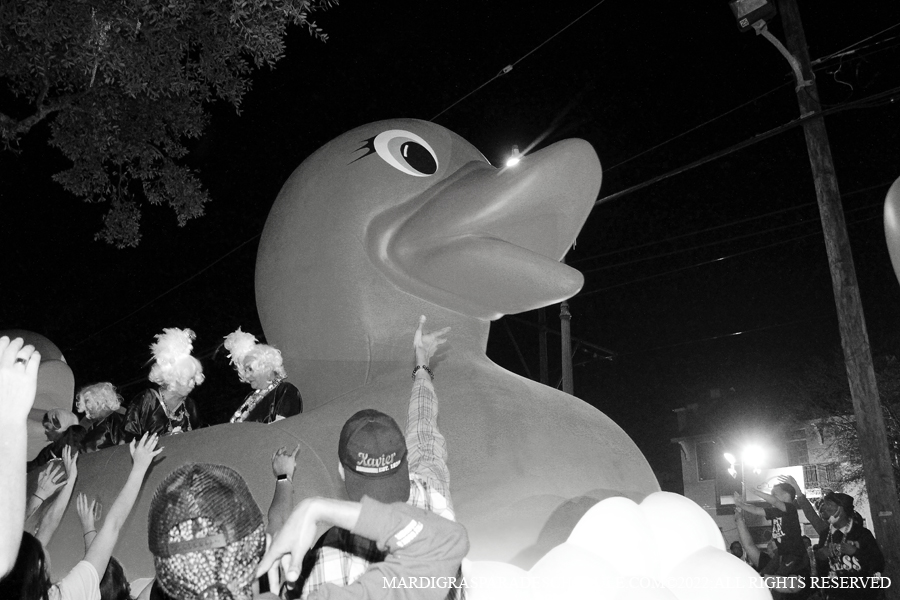 Krewe-of-Muses-00076-2022