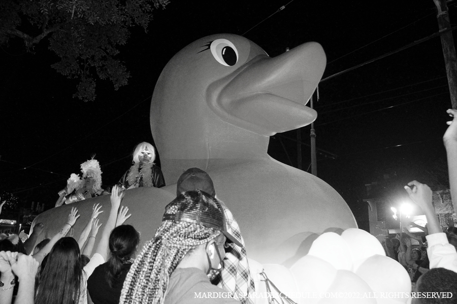 Krewe-of-Muses-00079-2022