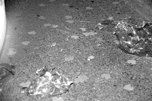 Krewe-of-Muses-00082-2022