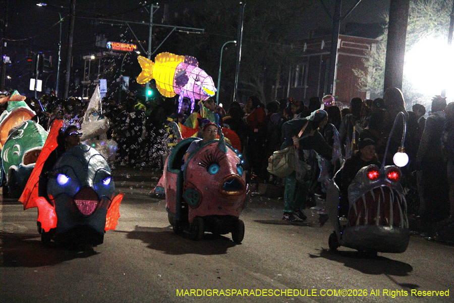 Krewe-of-Muses-2026-2872