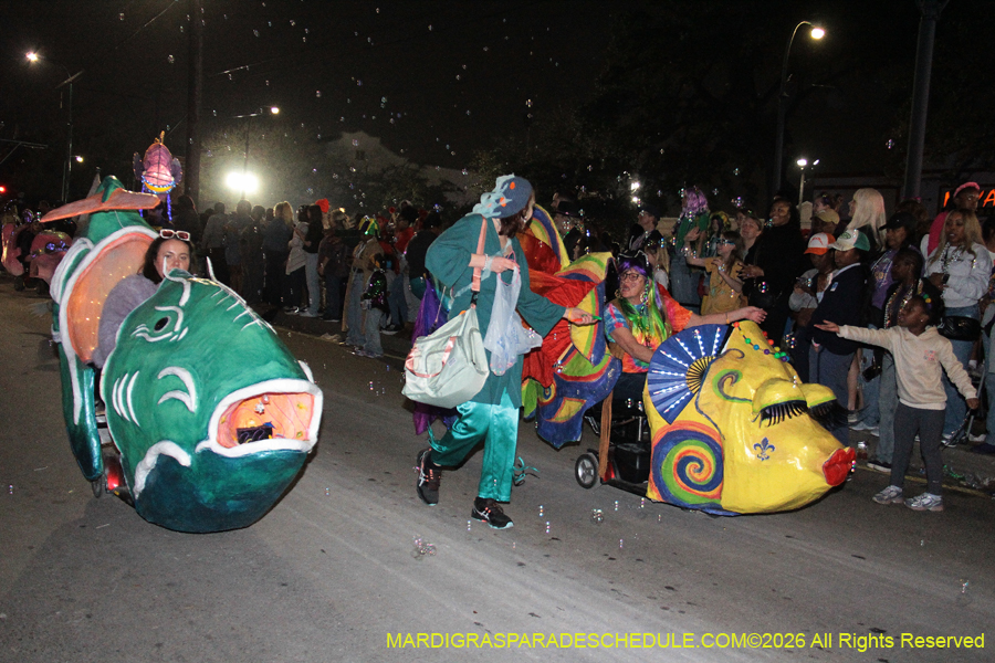 Krewe-of-Muses-2026-2875