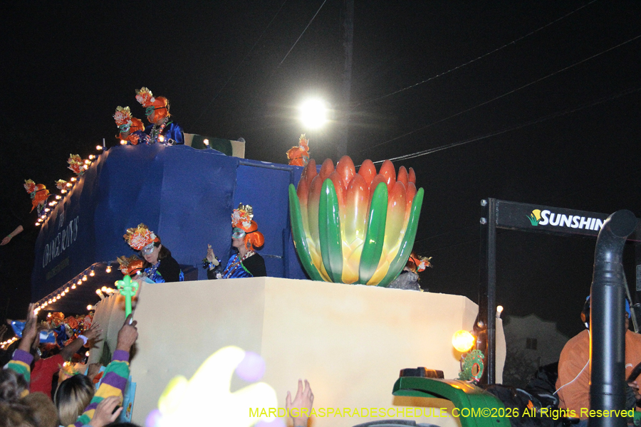 Krewe-of-Muses-2026-2989