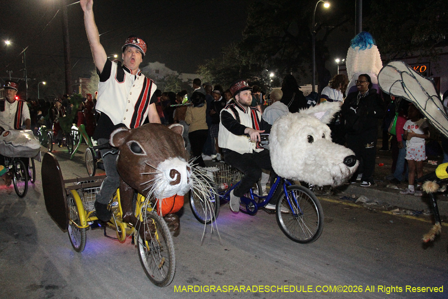 Krewe-of-Muses-2026-3166