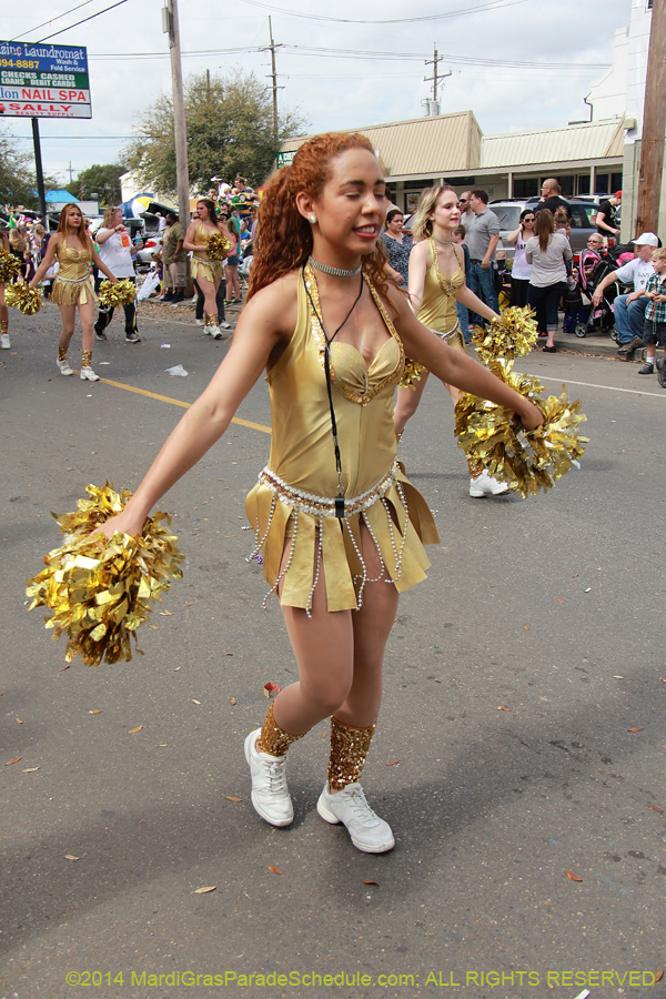 2014-Krewe-of-Okeanos-11115