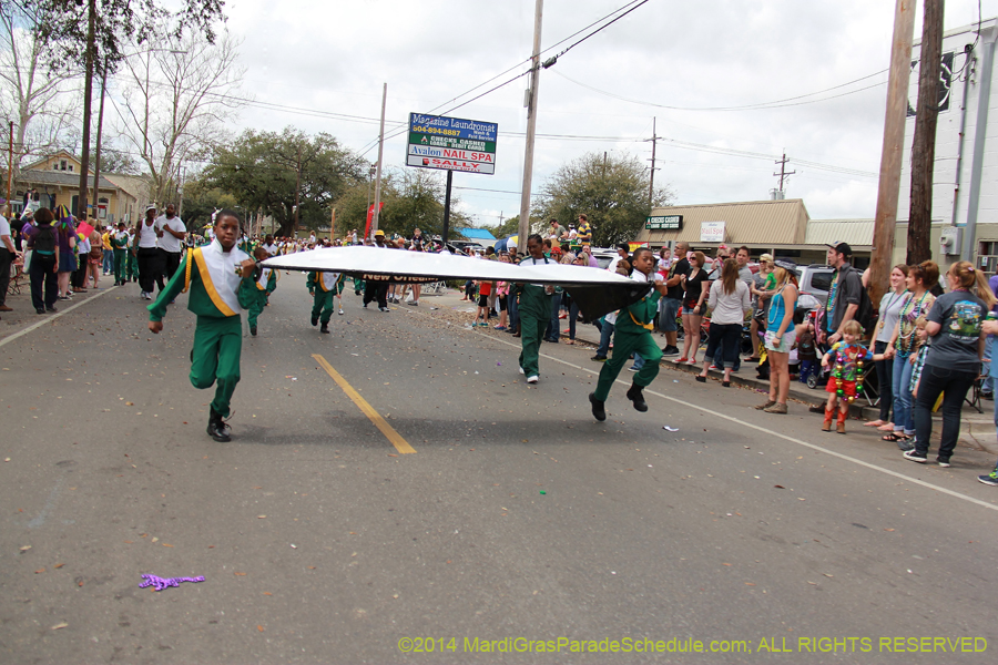 2014-Krewe-of-Okeanos-11154