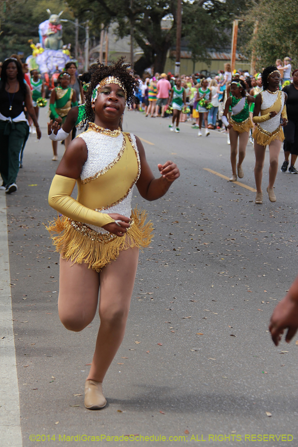 2014-Krewe-of-Okeanos-11156